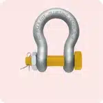 Lifting Shackles​